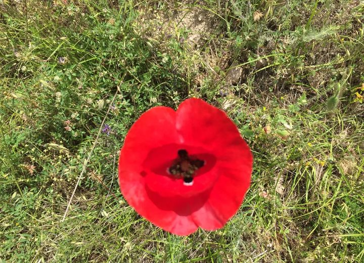Natyrë dhe peizazh në Breznicë, 2016